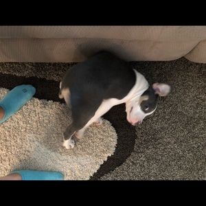 Meet your Posher, Jamie